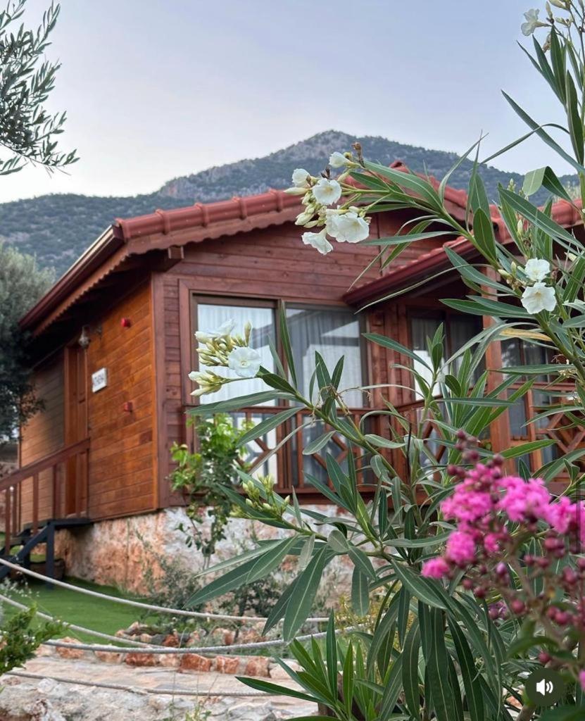 Doganin Ruhu Hotel & Bungalow Kaş Luaran gambar