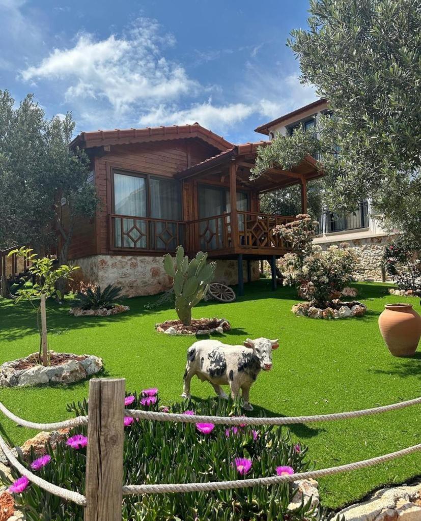 Doganin Ruhu Hotel & Bungalow Kaş Luaran gambar