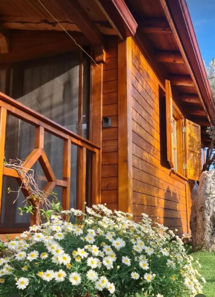 Doganin Ruhu Hotel & Bungalow Kaş Luaran gambar